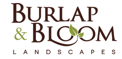 newlogo